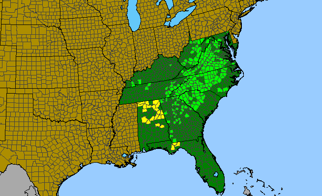 The range of Erythronium umbilicatum